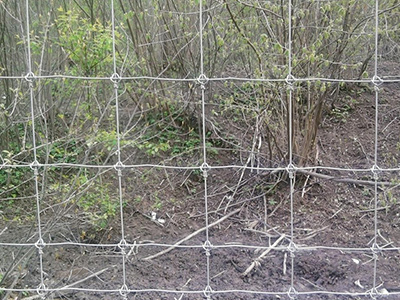 內蒙古鹿網(wǎng)圍欄